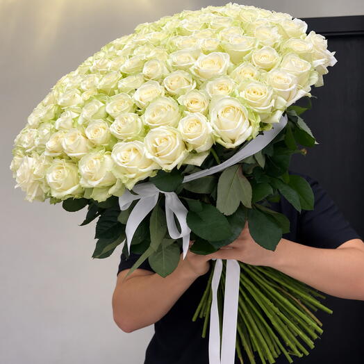101 White Rose