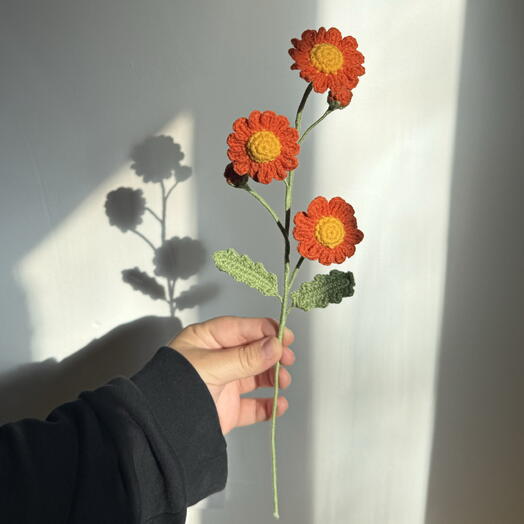 Ромашка оранжевая🧡
