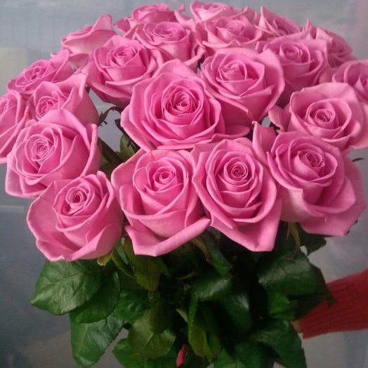 Rose pink