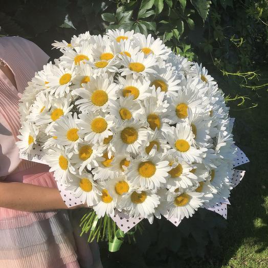 Hello Daisy