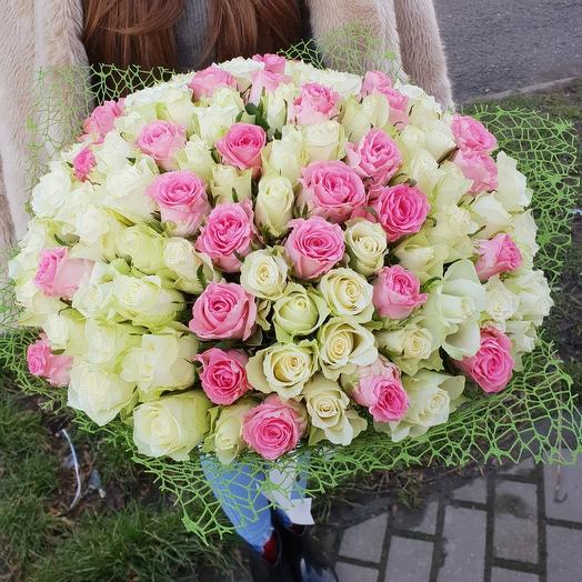 101 роза 4
