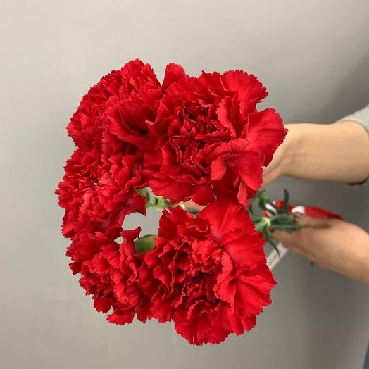 Clavel5