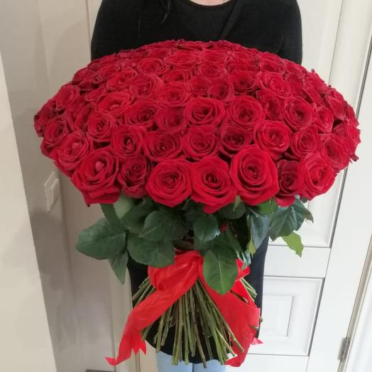 Rosa roja 101