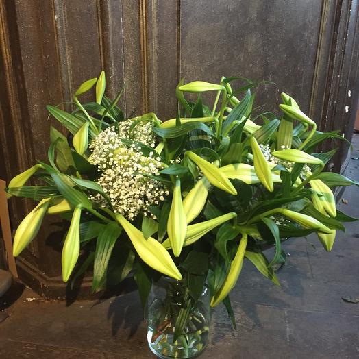 White lily
