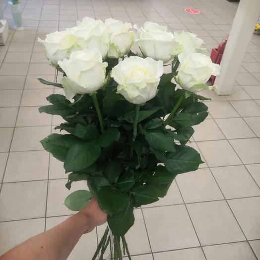 Rosas blancas