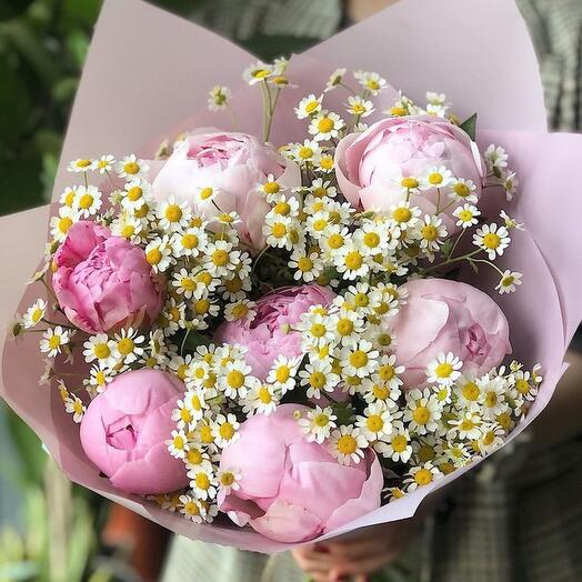 Пионы ( Франция ) и Ромашки (Голландия)