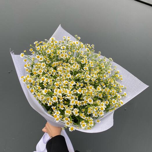 Букет с ромашкой Дари цветы