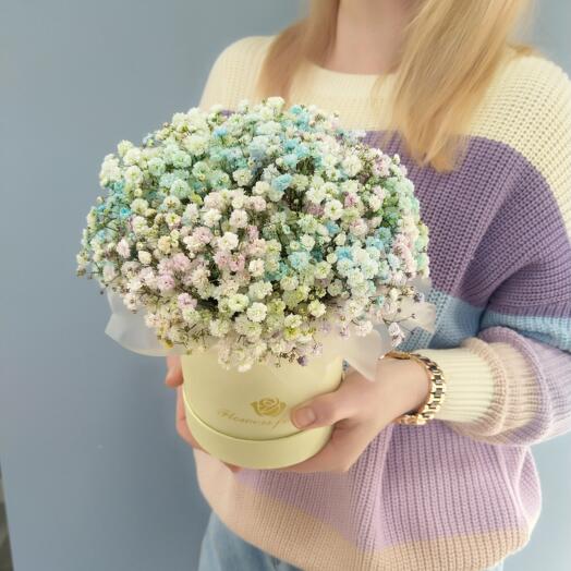 Composition of Gypsophila Mix