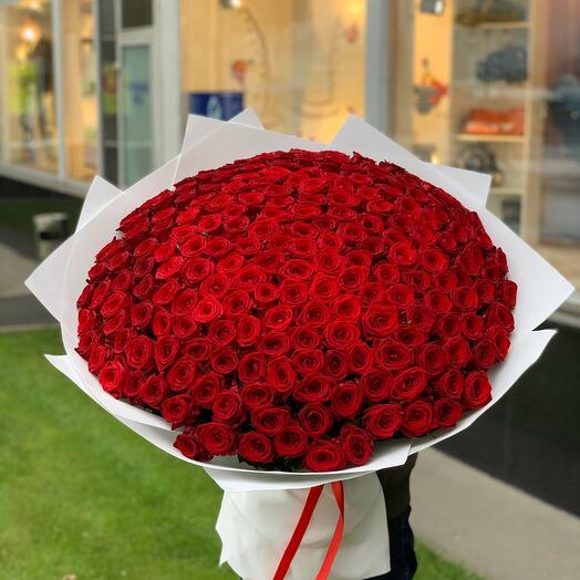 Bouquet of 201 red roses