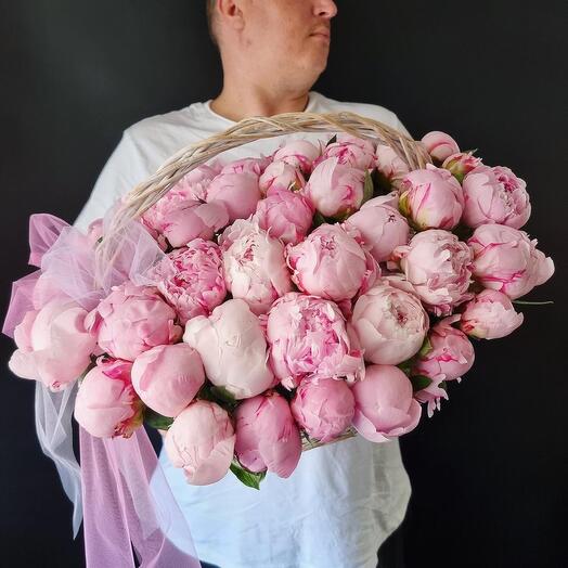 49 пионов корзине