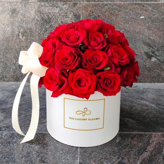 Red roses dome in white box