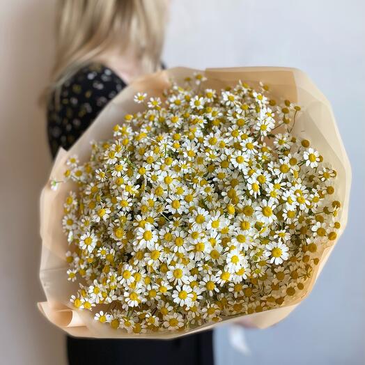 Букет ромашек, Танацетум, арт 27 Flower Perfect