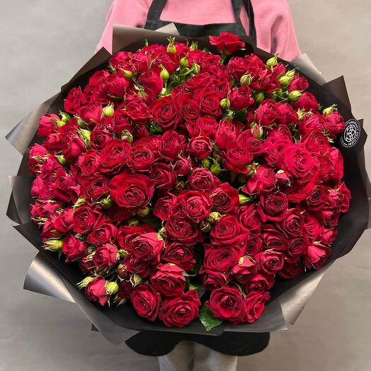 ¡Promoción! Rosas de arbusto rojo