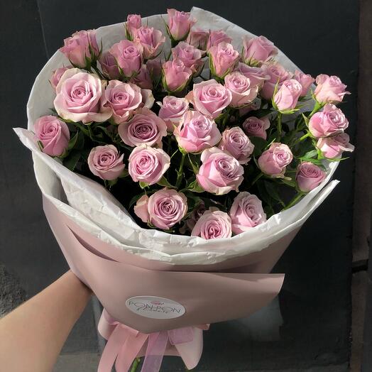Gentle roses / rosas Suaves