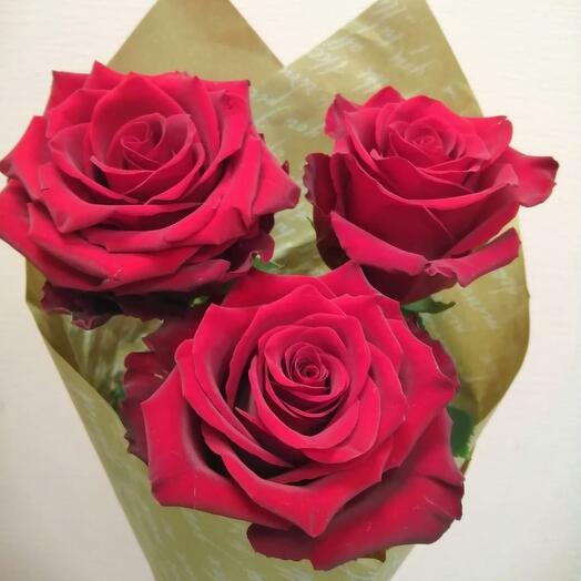 Bouquet of 3 Ecuadorian roses 65cm in craft