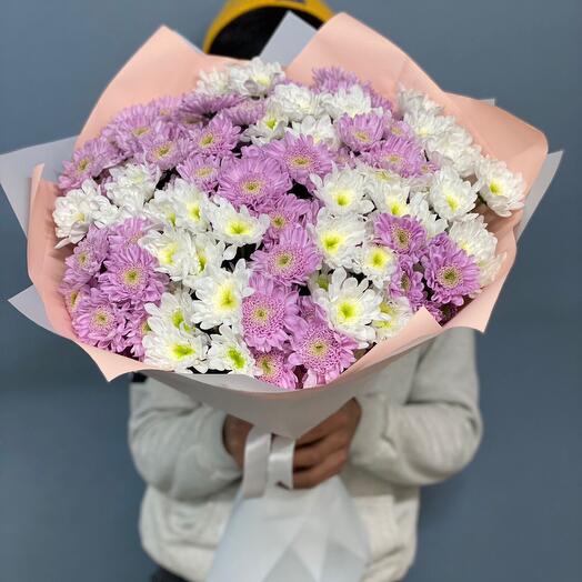Chrysanthemum bush
