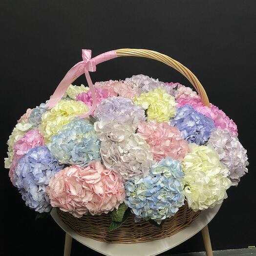 Basket with hydrangeas