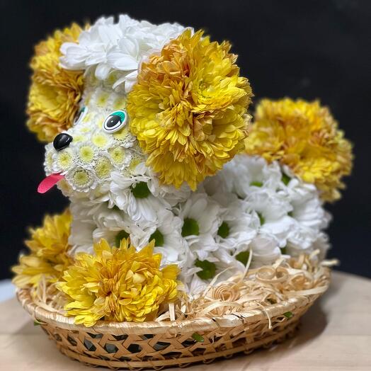 Игрушка из живых цветов "Собачка" 🐶🐶🐶