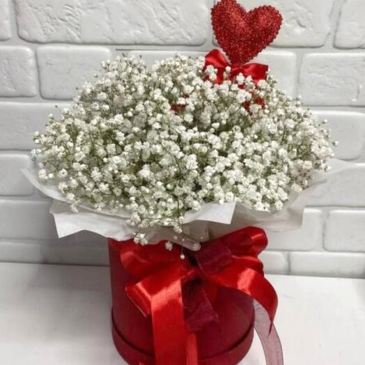 Gypsophila in a box 069