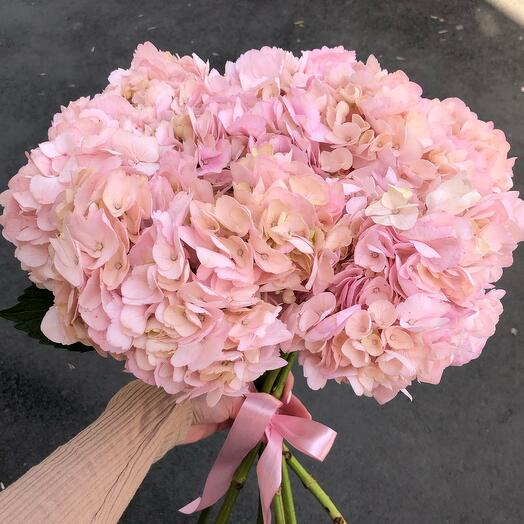 Pon Pon Flowers