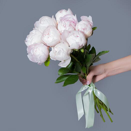 9 Premium Peonies