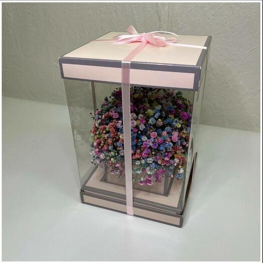 Rainbow gypsophila in a gift box 16x26
