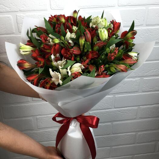 Ramo "elegante Alstroemeria" de 15 Alstroemeria