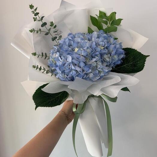 Blue hydrangea