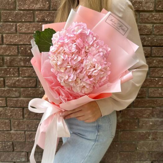 Hortensia rosa en paquete de diseño