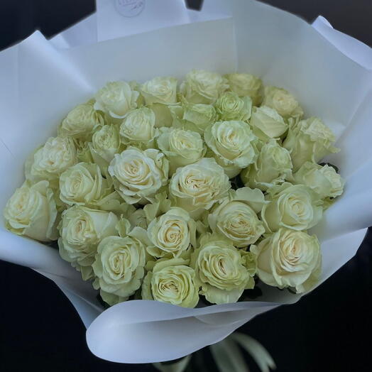 29 white rose ( mondial )