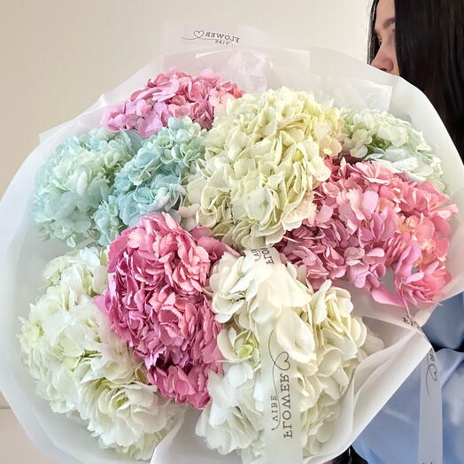 Mix di ortensie