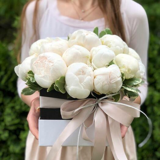 White peonies in a box "Airiness of Peonies"