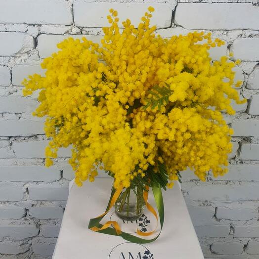 Букет мимозы "8 Марта"
