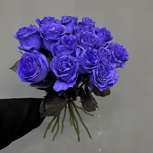 Stunning blue roses (15 roses, Ecuador), with a ribbon