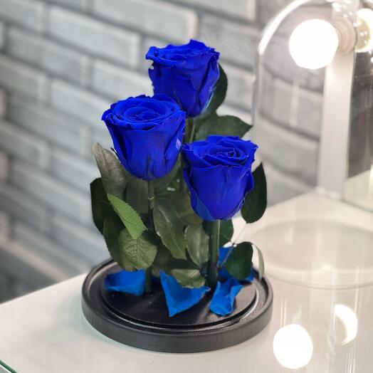 Trio "Premium" blue roses in a flask in a gift box / 26 cm