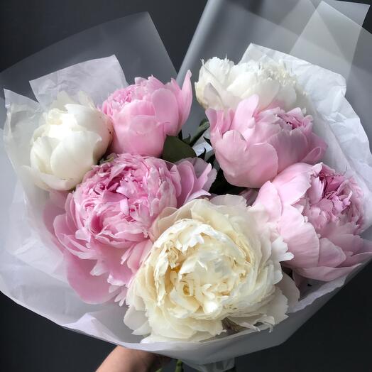 Букет пионов 💕🤍(7штук)
