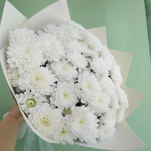 Шикарные ажурные хризантемы алтай бмна