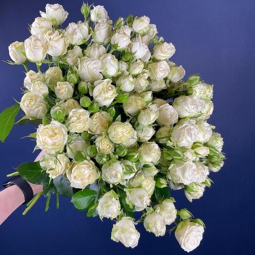 Bush rose peony-shaped 21 pieces