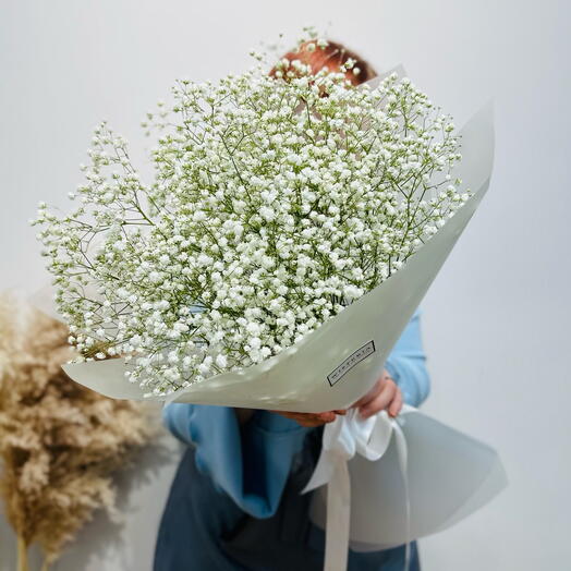 Монобукет из белоснежной гипсофилы "Снежная симфония" (02010018)