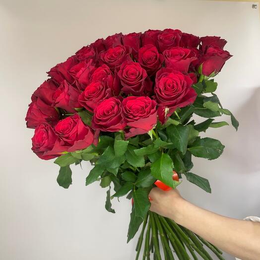 51 красная роза Rhodos