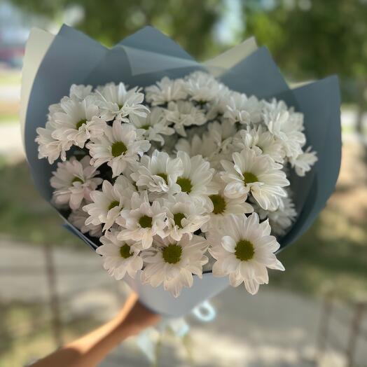 5 кустовых белых хризантем