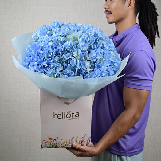 5 Blue Hydrangeas 1