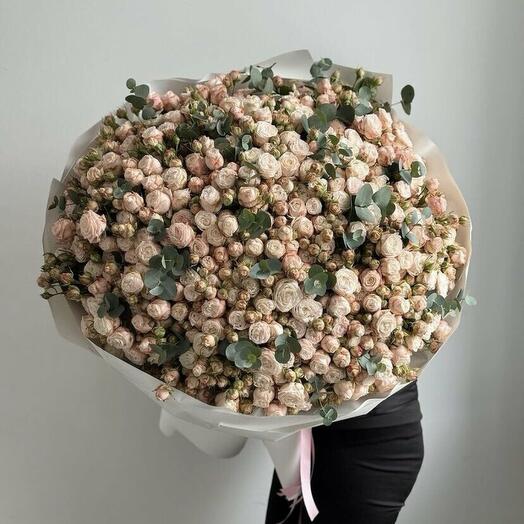 Пионовидная кустовая роза 🌹