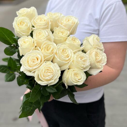 Розы белые