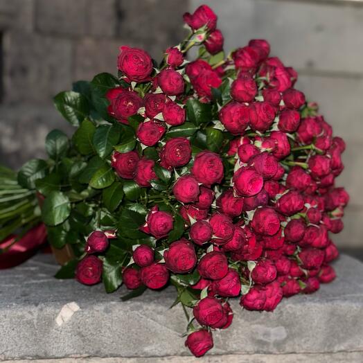 Красные кустовые пионовидные розы