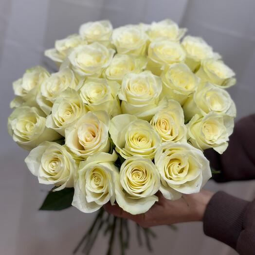 25 rosas blancas