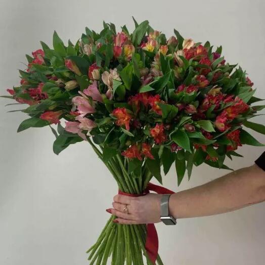 Альстромерия💌Микс