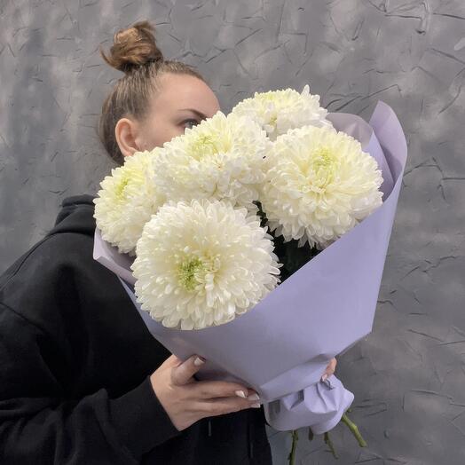 Хризантемы белые большие