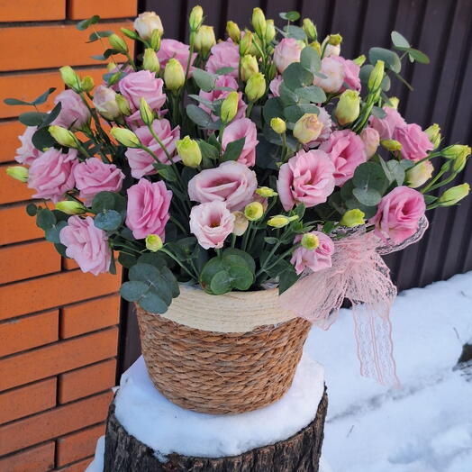 Розовые эустомы (лизиантусы) в кашпо