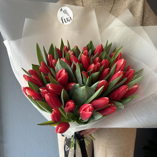 41 Red tulips